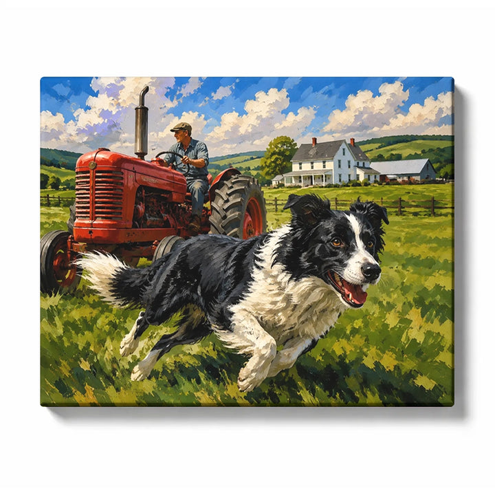 Border Collie Dog on the Farm Run - paint by numbers kit preview