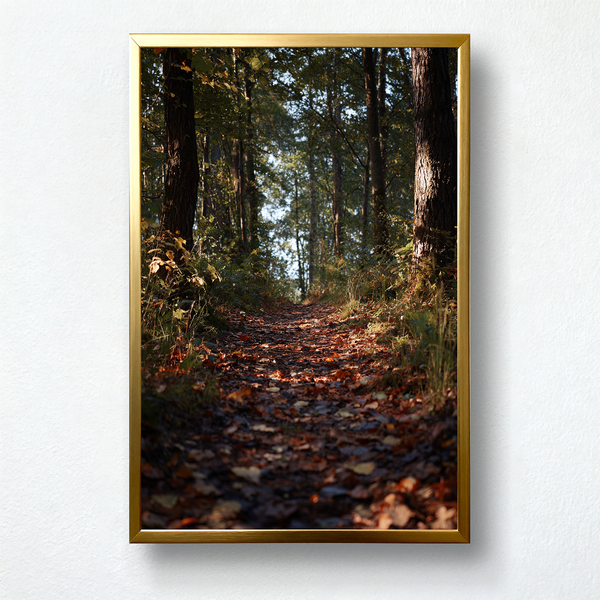 Autumn Path Paint by Numbers | Forest Trail with Golden Leaves | PaintEasy