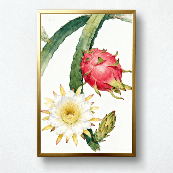 Paint by Numbers：Rhythm of Pitaya's Life