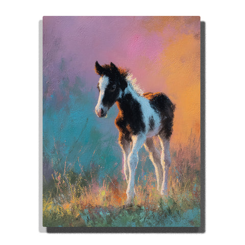Black and white foal standing in glowing meadow grass with dark mane, white face blaze, pastel mist, and warm lavender-peach sky, paint by numbers wall art by PaintEasy