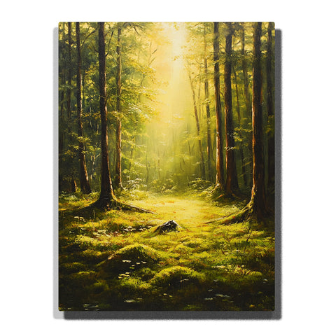 A sunlit forest clearing with tall trees, mossy ground, and golden morning light streaming through the woodland in this PaintEasy Paint by Numbers artwork.