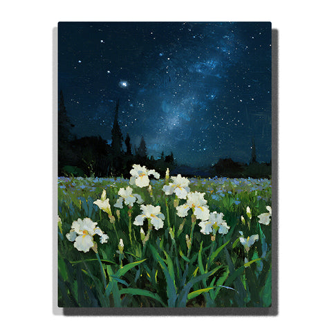Paint by numbers kit featuring white iris flowers under a starry sky with the Milky Way