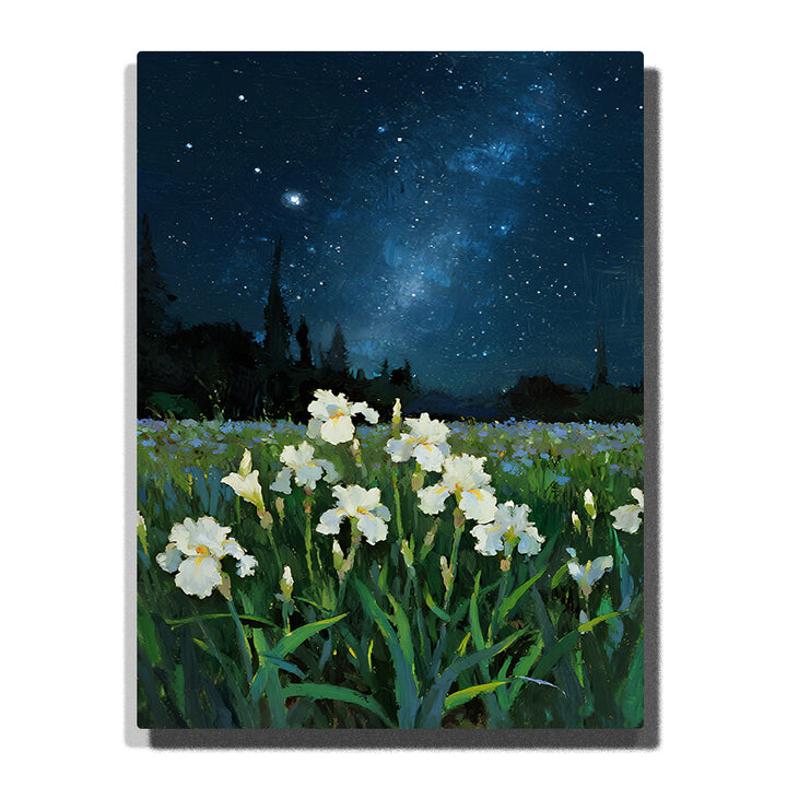 Paint by numbers kit featuring white iris flowers under a starry sky with the Milky Way