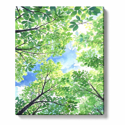 Green Forest Canopy Sky View Paint by Numbers Kit For Adults
