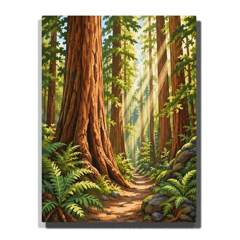 National park giant redwood forest trail with towering trees, sunlight rays, ferns, rocks and peaceful wilderness landscape Paint by Numbers by PaintEasy