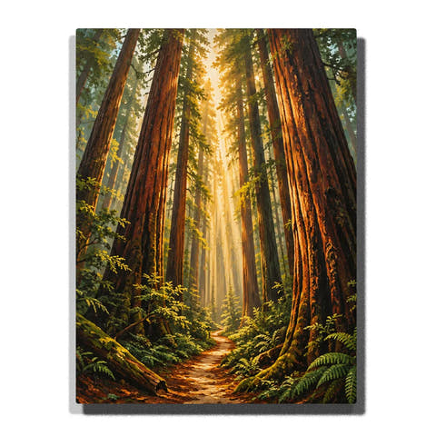 Towering Redwood Forest Paint by Numbers For Adults featuring giant reddish-brown trees, golden sunlight, winding woodland path, green ferns and lush forest foliage