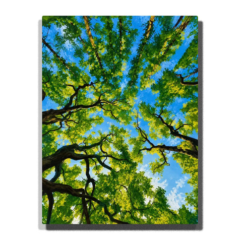Forest Paint by Numbers For Adults featuring upward view through tall green trees with twisting branches, sunlit leaves, vivid blue sky and soft white clouds