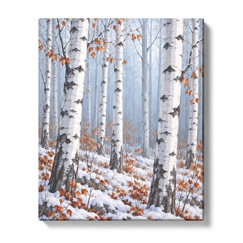 Snow-Dusted Silver Birch Grove paint by numbers design