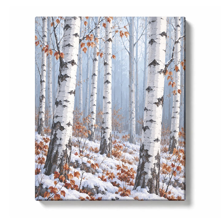 Snow-Dusted Silver Birch Grove paint by numbers design