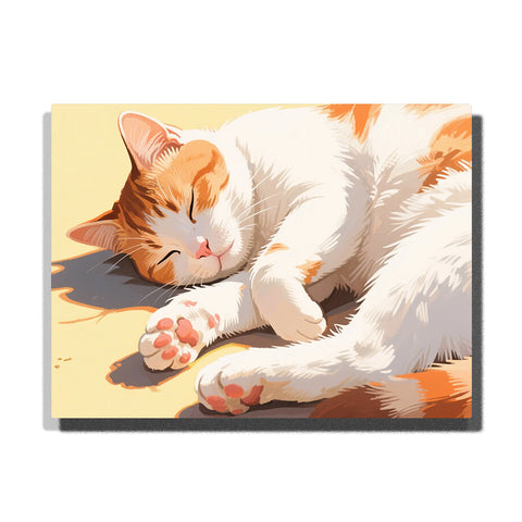 Sleeping orange and white cat in warm sunlight, cozy animal Paint by Numbers artwork by PaintEasy for adults home decor