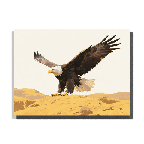 Bald eagle landing over desert paint by numbers kit for adults by PaintEasy
