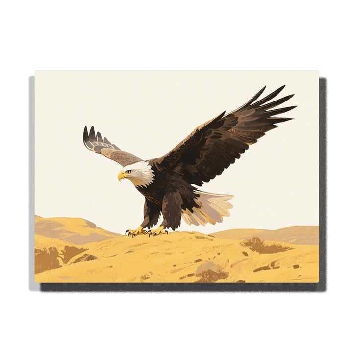 Bald eagle landing over desert paint by numbers kit for adults by PaintEasy