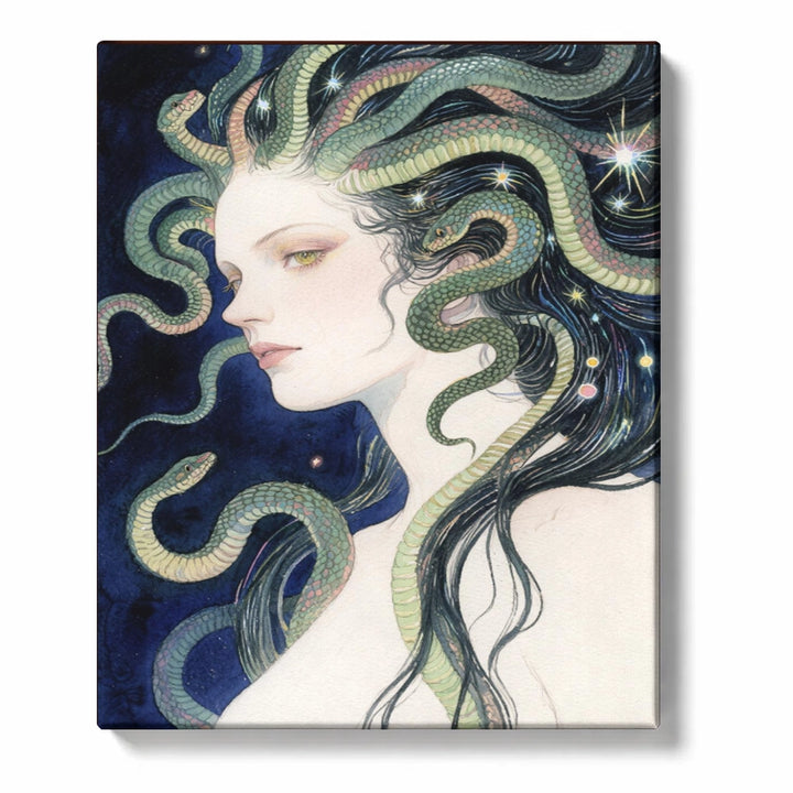 Paint by Numbers：Medusa