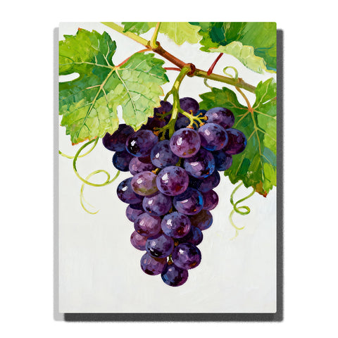 Purple grape cluster hanging from green vine leaves on a white background, featuring glossy fruit highlights, curling tendrils, and natural stems.