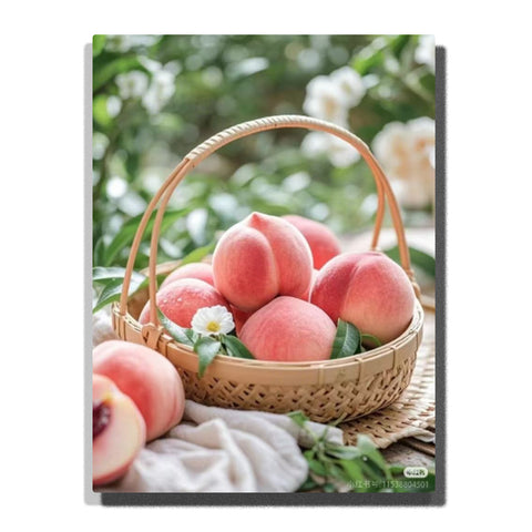 Soft pink peaches in a woven basket with green leaves and a white blossom, featuring fuzzy fruit texture, natural basket detail, and blurred garden background.
