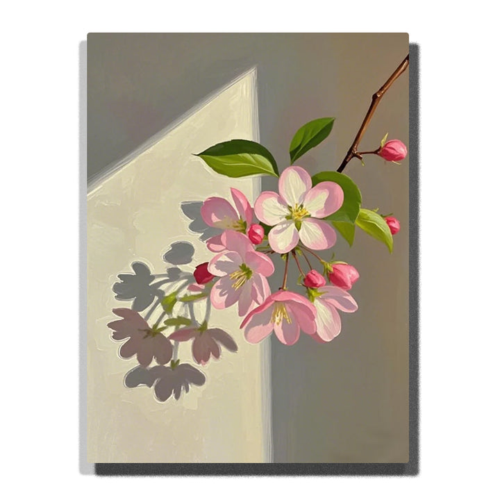 Pink apple blossoms with green leaves on a slender branch, casting a soft shadow across a sunlit gray wall in this Paint by Numbers artwork.