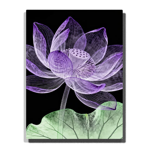 A close-up of a purple lotus flower outlined with soft lines, sitting on a green leaf, set against a black background. The delicate details and translucent petals are highlighted in this Paint by Numbers artwork.