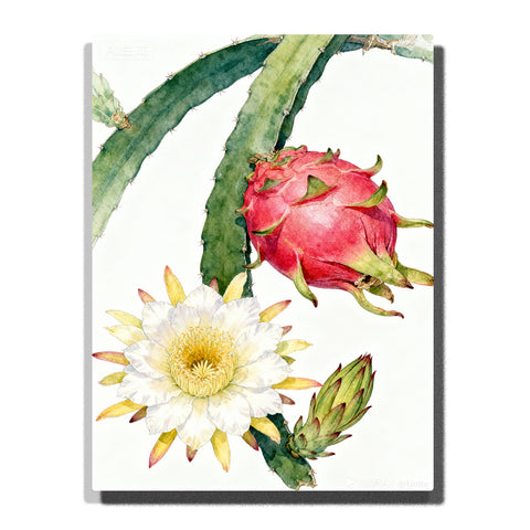 A close-up of a cactus flower with a white bloom and a bright pink dragon fruit, set against a clean white background. The intricate details of the flower and fruit are highlighted in this Paint by Numbers artwork.