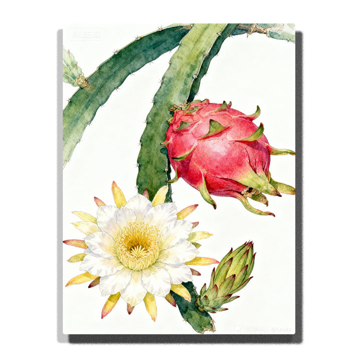 A close-up of a cactus flower with a white bloom and a bright pink dragon fruit, set against a clean white background. The intricate details of the flower and fruit are highlighted in this Paint by Numbers artwork.