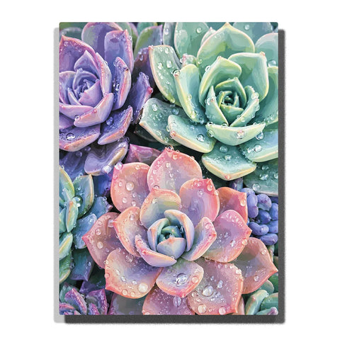 Botanical Paint by Numbers For Adults featuring pastel pink mint lavender and blue succulent rosettes covered with sparkling water droplets in a colorful close-up garden