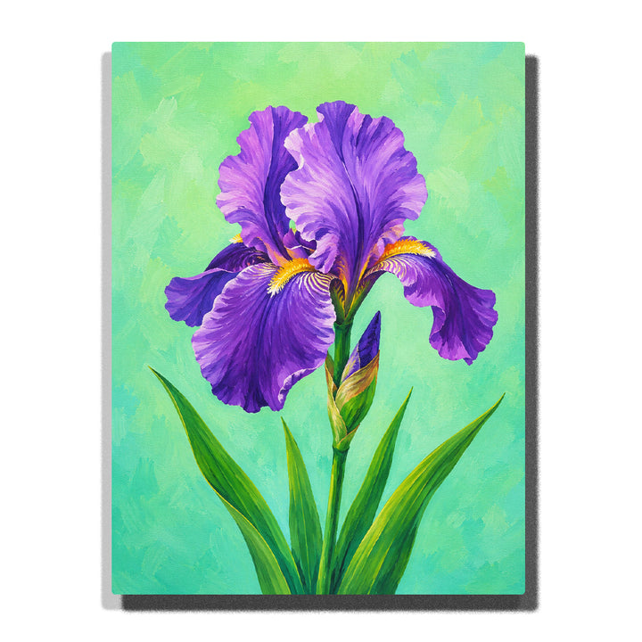 Purple iris flower with green leaves, botanical garden style, elegant petals and simple floral artwork Paint by Numbers by PaintEasy