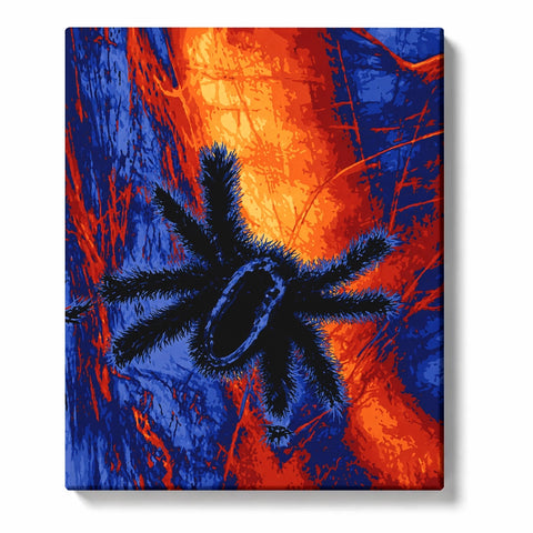 Large hairy black spider with electric-blue highlights against a vivid cobalt-blue and fiery orange background crossed by tangled web-like strands.