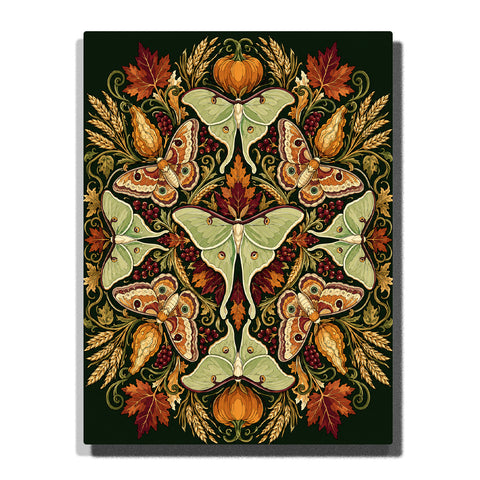Earth-tone luna moth mandala with autumn leaves, pumpkins, berries, wheat and symmetrical harvest botanical pattern Paint by Numbers artwork by PaintEasy