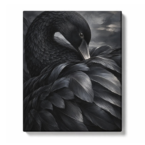 Velvet Black Swan Feathers in Soft Shadow Paint by Numbers Kit for Adults