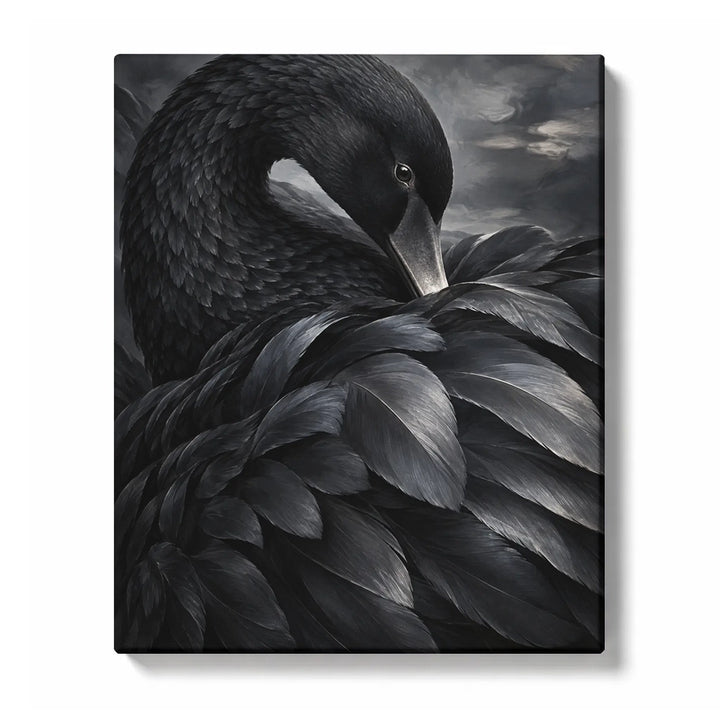 Velvet Black Swan Feathers in Soft Shadow Paint by Numbers Kit for Adults