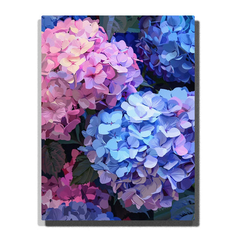 Hydrangea Paint by Numbers For Adults featuring large pink blue lavender and purple hydrangea flower clusters with layered petals and dark green garden leaves