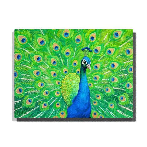 Peacock feather fan paint by numbers kit for adults by PaintEasy
