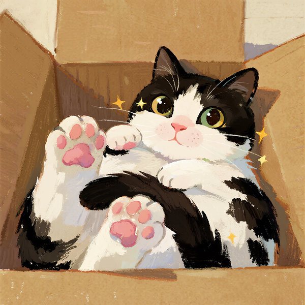 Paint by Numbers: Box of Wonders