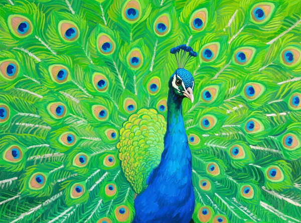 Paint by Numbers：Capturing the Splendor and Elegance of a Peacock's Display DIY Painting
