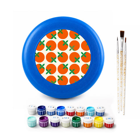 Citrus Pattern Frisbee Kit - paint by numbers frisbee kit with acrylic paints and brushes