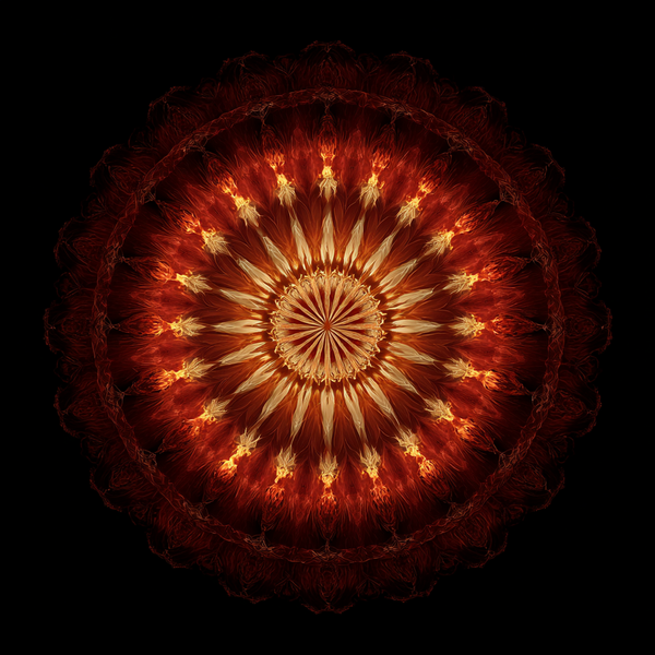 Heart of Sol Mandala Paint by Numbers | Red & Gold Fire Element Mindful Energy Art