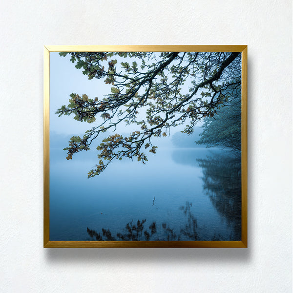 Misty Lake Branch Reflections Paint by Numbers | PaintEasy