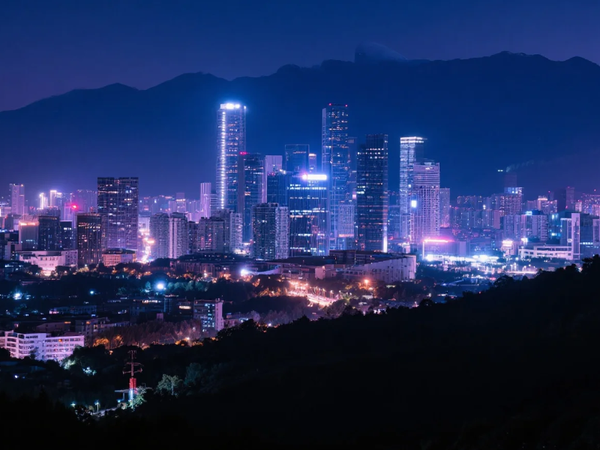 Paint by Numbers - Neon City Nightscape