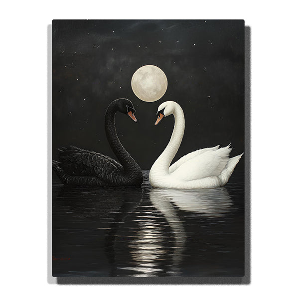 Paint by Numbers：Black and White Swans